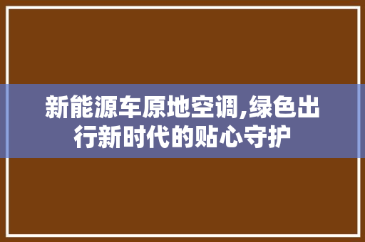 新能源车原地空调,绿色出行新时代的贴心守护