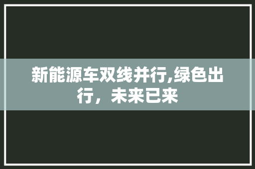 新能源车双线并行,绿色出行，未来已来