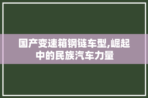 国产变速箱钢链车型,崛起中的民族汽车力量
