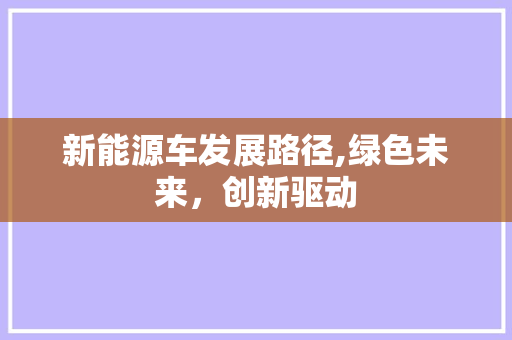 新能源车发展路径,绿色未来，创新驱动