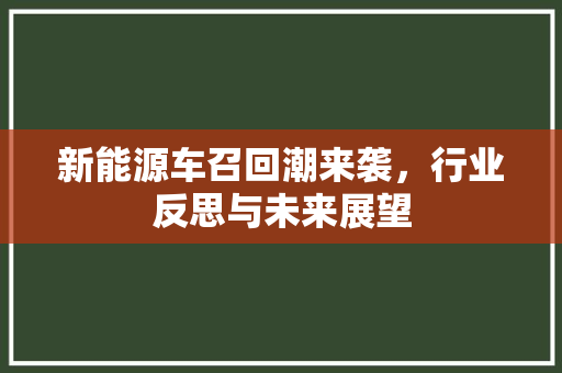 新能源车召回潮来袭，行业反思与未来展望