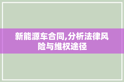 新能源车合同,分析法律风险与维权途径