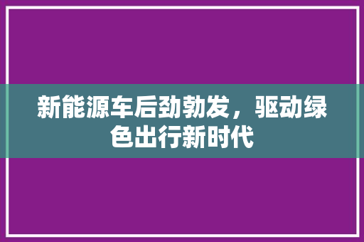 新能源车后劲勃发，驱动绿色出行新时代