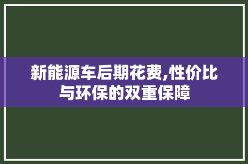 新能源车后期花费,性价比与环保的双重保障