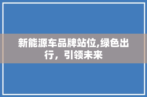 新能源车品牌站位,绿色出行，引领未来