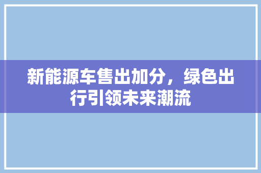 新能源车售出加分，绿色出行引领未来潮流