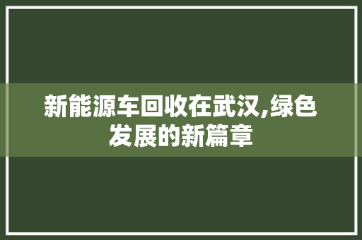 新能源车回收在武汉,绿色发展的新篇章