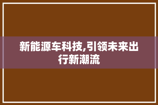 新能源车科技,引领未来出行新潮流