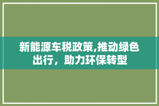 新能源车税政策,推动绿色出行，助力环保转型