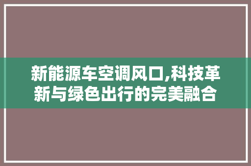 新能源车空调风口,科技革新与绿色出行的完美融合