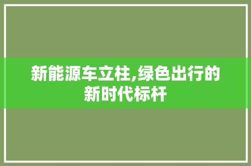 新能源车立柱,绿色出行的新时代标杆