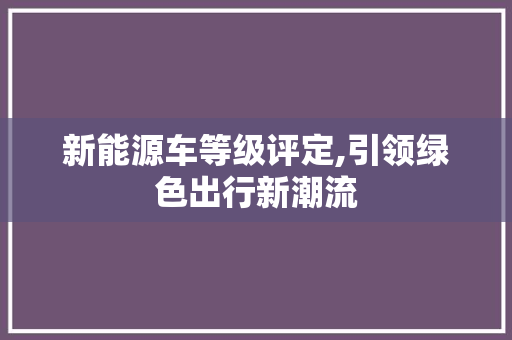 新能源车等级评定,引领绿色出行新潮流