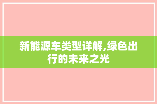 新能源车类型详解,绿色出行的未来之光