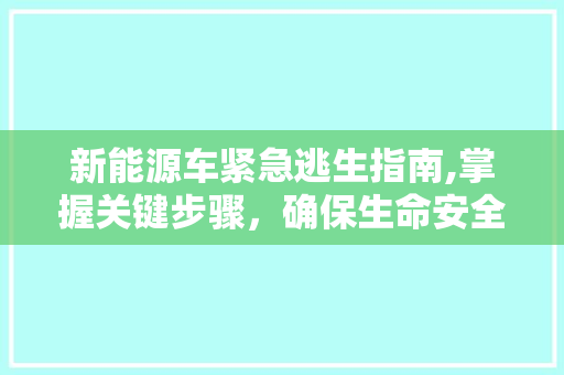 新能源车紧急逃生指南,掌握关键步骤，确保生命安全