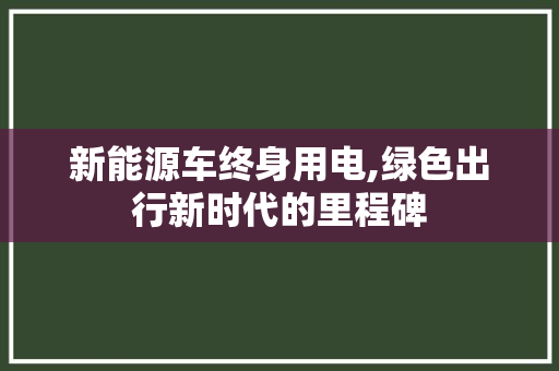 新能源车终身用电,绿色出行新时代的里程碑