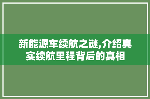 新能源车续航之谜,介绍真实续航里程背后的真相