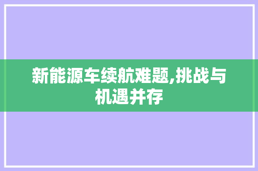 新能源车续航难题,挑战与机遇并存