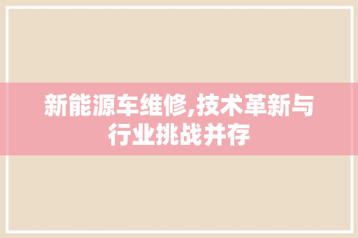 新能源车维修,技术革新与行业挑战并存