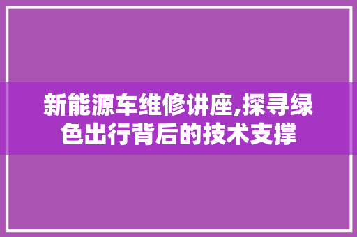 新能源车维修讲座,探寻绿色出行背后的技术支撑