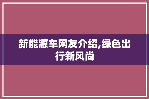 新能源车网友介绍,绿色出行新风尚
