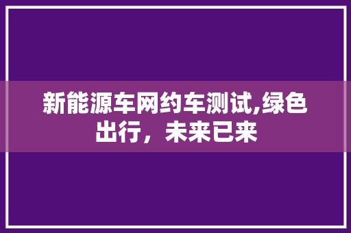 新能源车网约车测试,绿色出行，未来已来