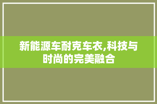 新能源车耐克车衣,科技与时尚的完美融合