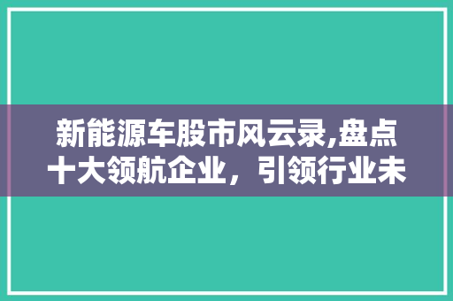 新能源车股市风云录,盘点十大领航企业，引领行业未来