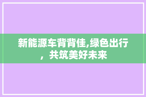 新能源车背背佳,绿色出行，共筑美好未来