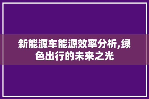 新能源车能源效率分析,绿色出行的未来之光