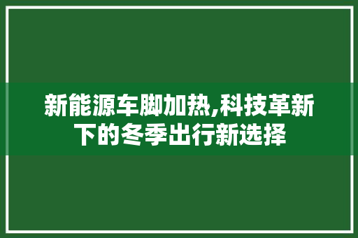 新能源车脚加热,科技革新下的冬季出行新选择