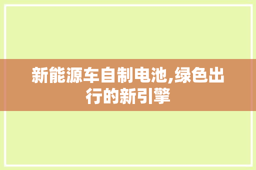新能源车自制电池,绿色出行的新引擎