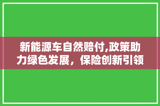 新能源车自然赔付,政策助力绿色发展，保险创新引领未来
