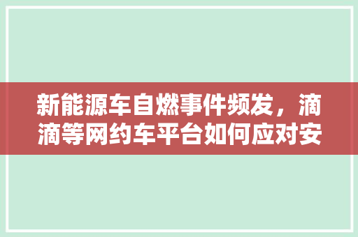 新能源车自燃事件频发，滴滴等网约车平台如何应对安全隐患