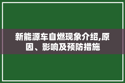 新能源车自燃现象介绍,原因、影响及预防措施