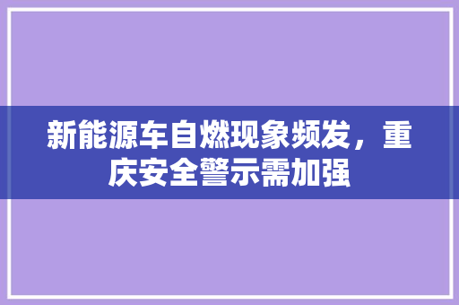 新能源车自燃现象频发，重庆安全警示需加强