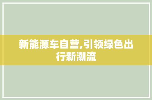 新能源车自营,引领绿色出行新潮流