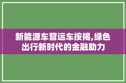 新能源车营运车按揭,绿色出行新时代的金融助力
