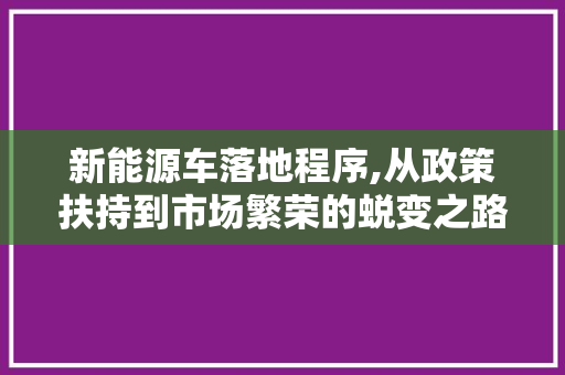 新能源车落地程序,从政策扶持到市场繁荣的蜕变之路