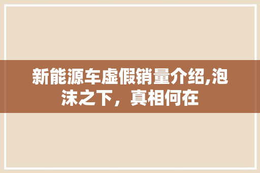 新能源车虚假销量介绍,泡沫之下，真相何在