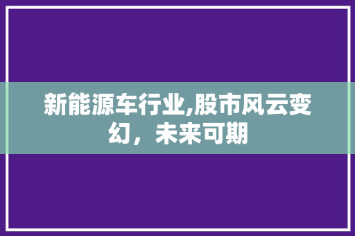 新能源车行业,股市风云变幻，未来可期