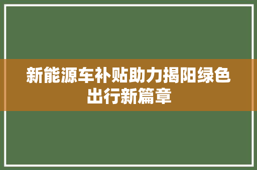 新能源车补贴助力揭阳绿色出行新篇章