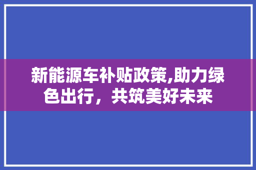 新能源车补贴政策,助力绿色出行，共筑美好未来