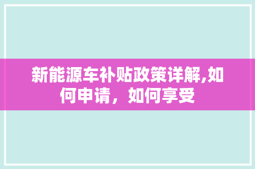 新能源车补贴政策详解,如何申请，如何享受