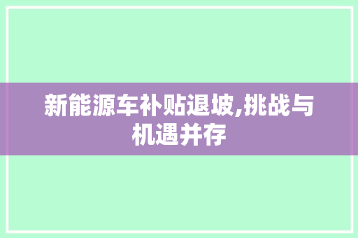 新能源车补贴退坡,挑战与机遇并存