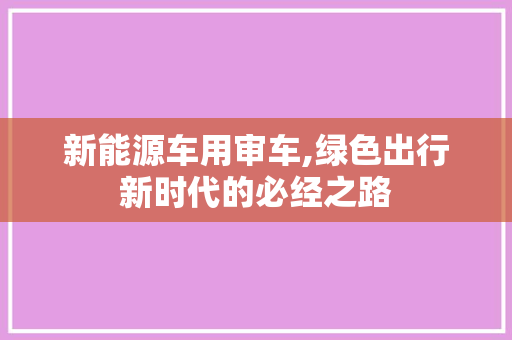 新能源车用审车,绿色出行新时代的必经之路