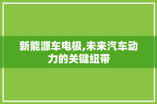 新能源车电极,未来汽车动力的关键纽带