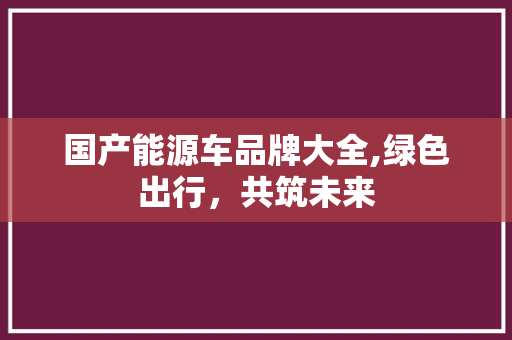 国产能源车品牌大全,绿色出行，共筑未来