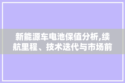 新能源车电池保值分析,续航里程、技术迭代与市场前景