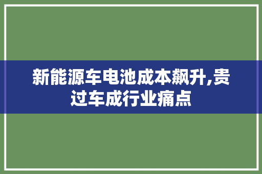 新能源车电池成本飙升,贵过车成行业痛点