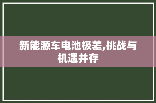 新能源车电池极差,挑战与机遇并存
